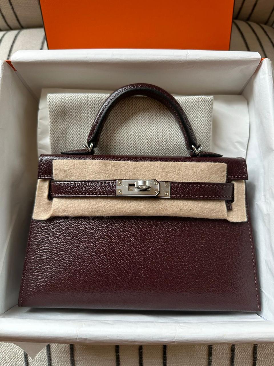 Kelly Mini